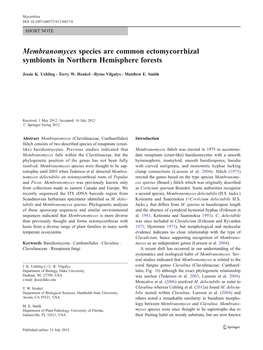 Membranomyces Species Are Common Ectomycorrhizal Symbionts in Northern Hemisphere Forests