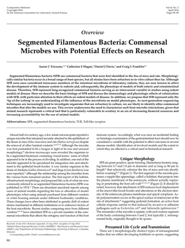 Segmented Filamentous Bacteria: Commensal Microbes with Potential Effects on Research