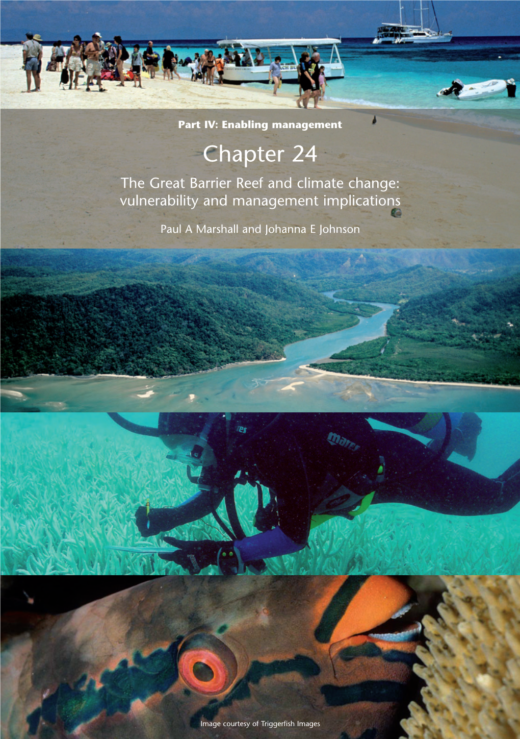 Chapter 24 the Great Barrier Reef and Climate Change: Vulnerability and Management Implications