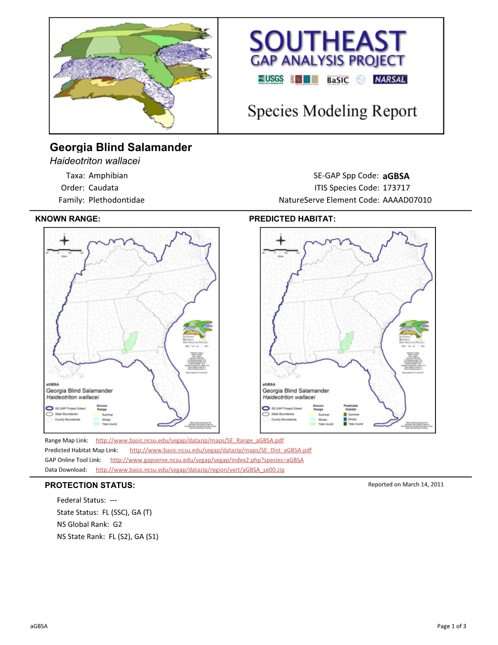 Georgia Blind Salamander