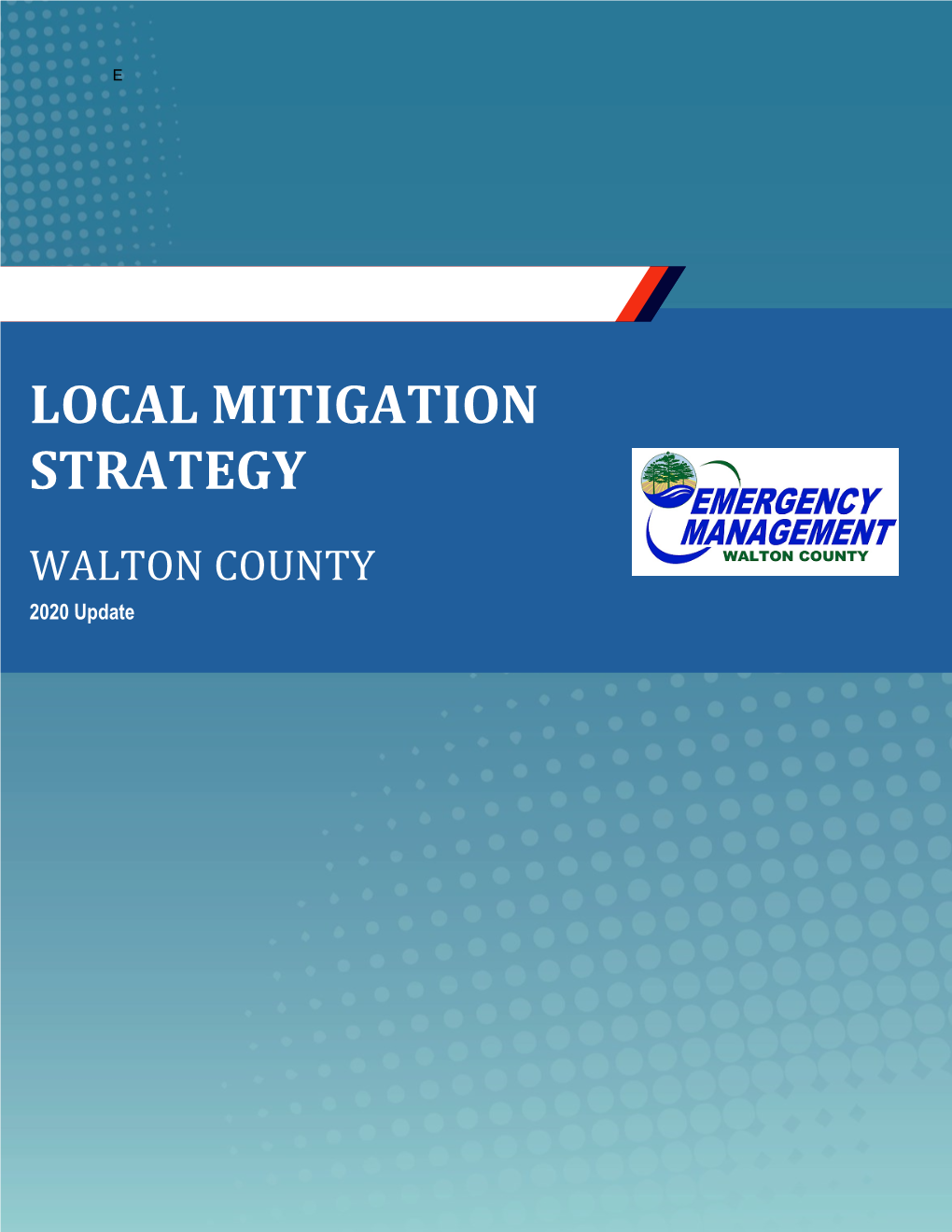 Local Mitigation Strategy