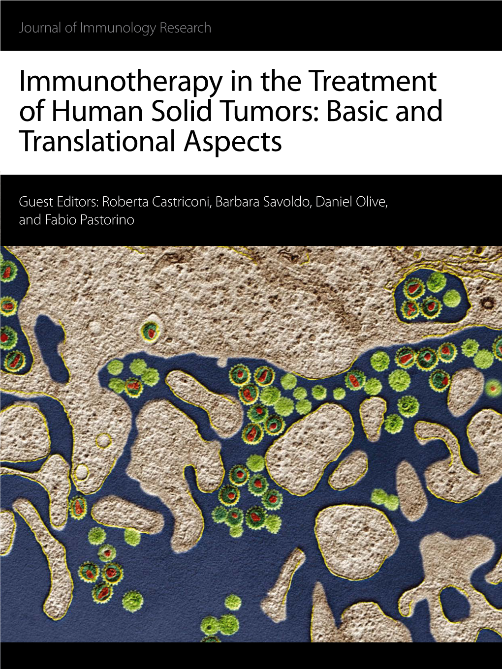 Immunotherapy in the Treatment of Human Solid Tumors: Basic and Translational Aspects