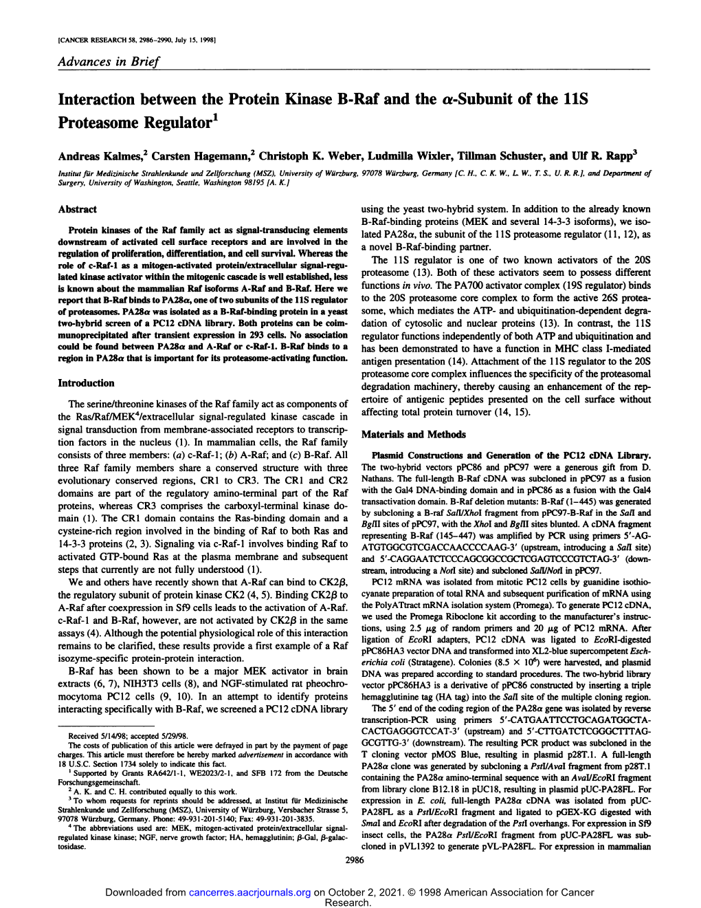 Interaction Between the Protein Kinase B-Raf and the A-Subunit of the IIS Proteasome Regulator1