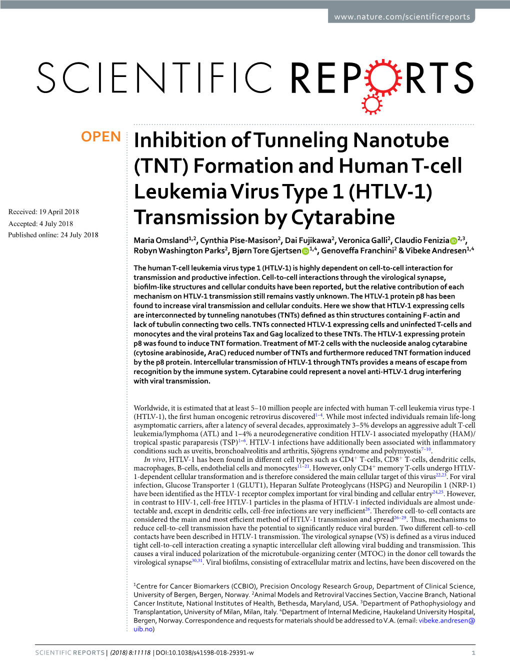 Inhibition of Tunneling Nanotube (TNT) Formation And