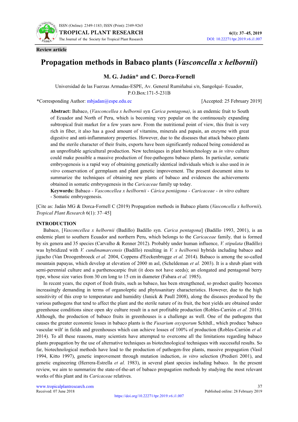 Propagation Methods in Babaco Plants (Vasconcella X Helbornii)