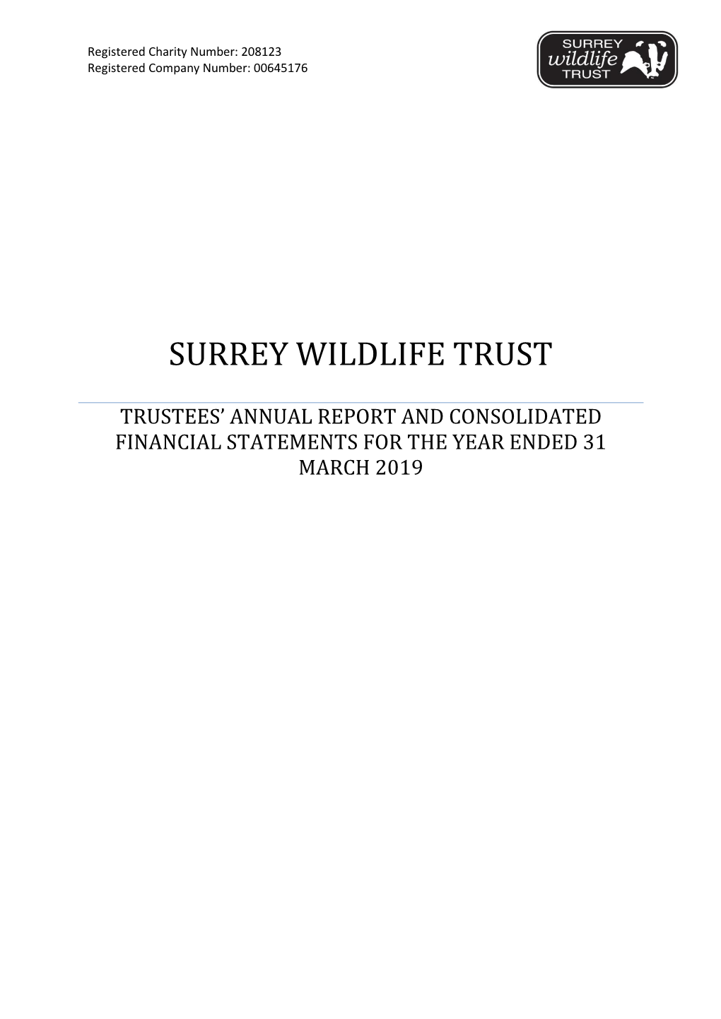 Trustees' Annual Report and Consolidated Financial Statements for the Year Ended 31 March 2019
