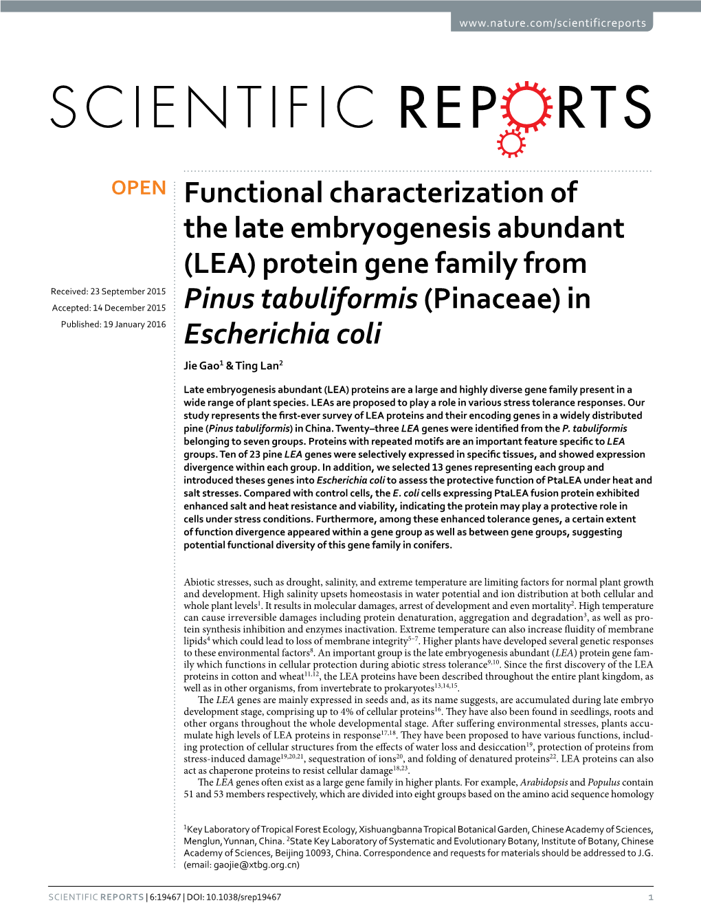 Functional Characterization of the Late Embryogenesis