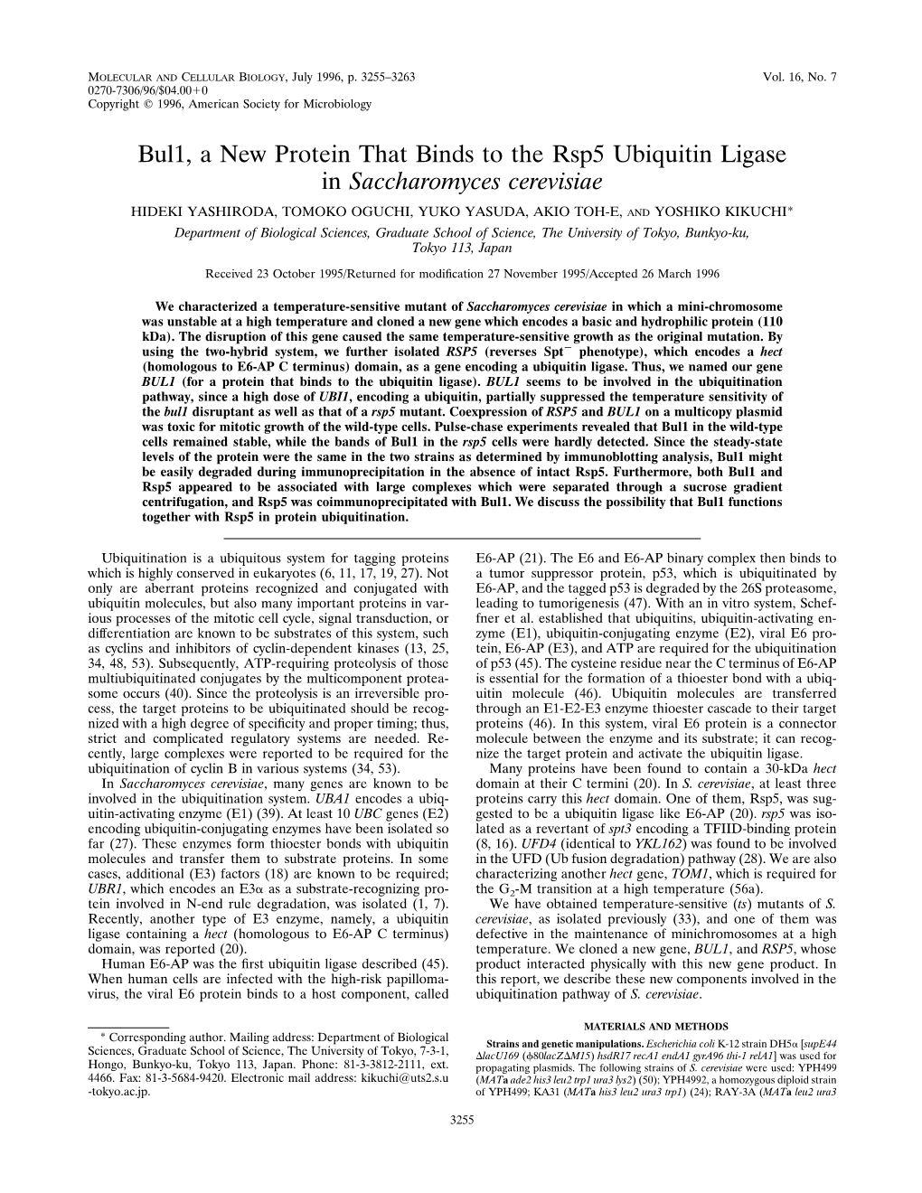 Bul1, a New Protein That Binds to the Rsp5 Ubiquitin Ligase in Saccharomyces Cerevisiae