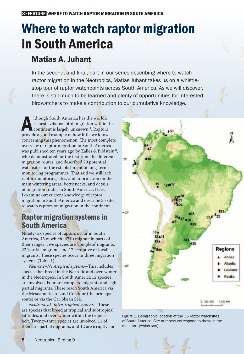 WHERE to WATCH RAPTOR MIGRATION in SOUTH AMERICA Where to Watch Raptor Migration in South America Matias A