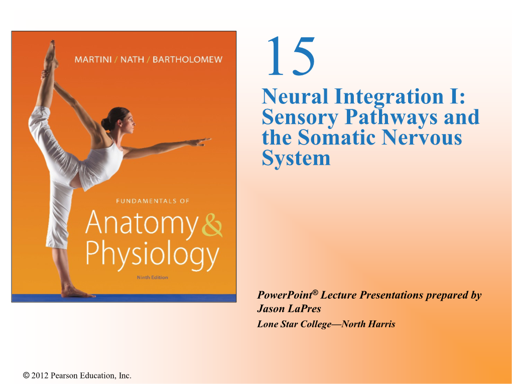 Sensory Pathways and the Somatic Nervous System