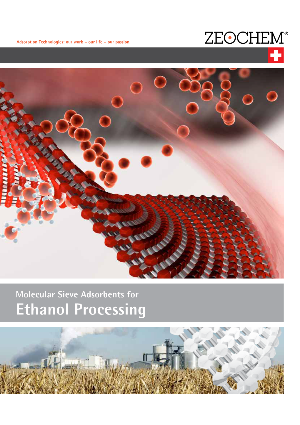 Molecular Sieve Adsorbents for Ethanol Processing Zeochem Products for the Ethanol Processing Industry Zeochem Products for the Ethanol Processing Industry
