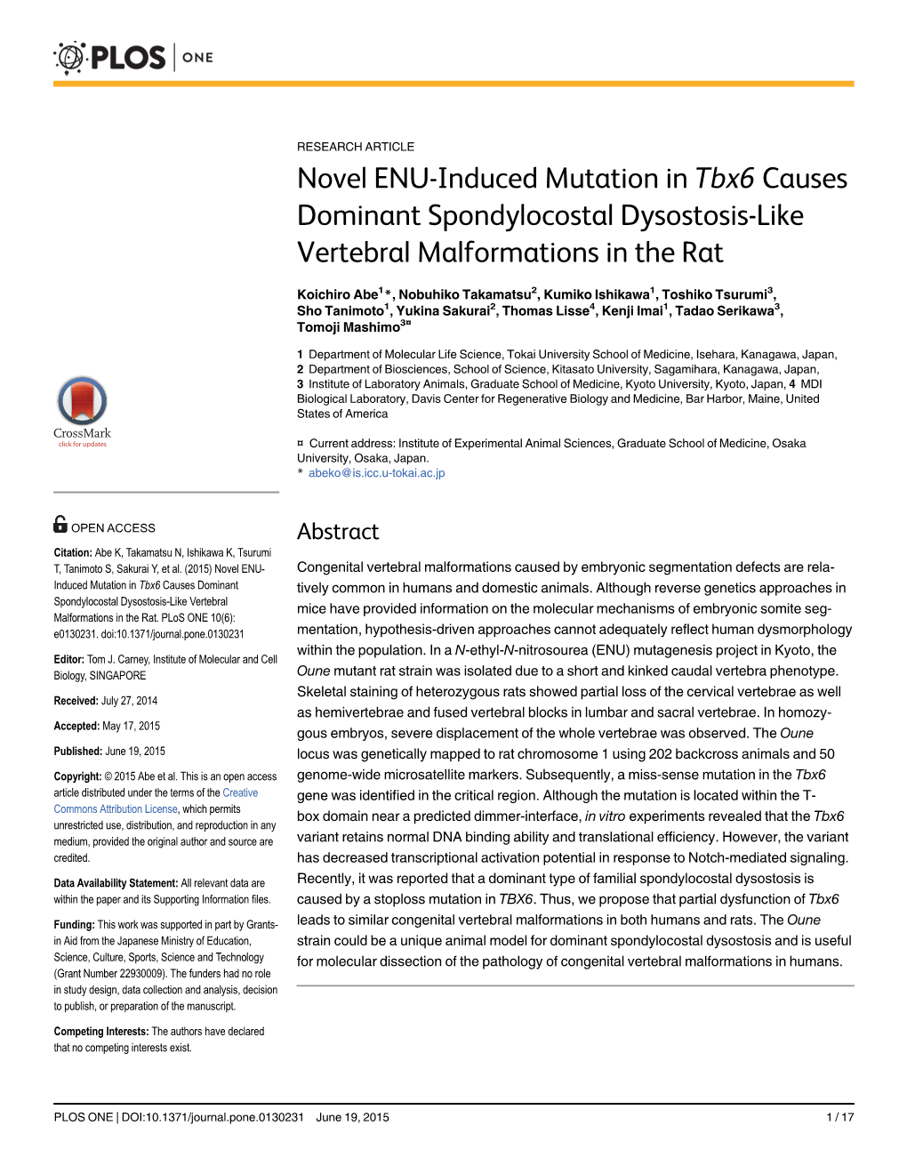 Novel ENU-Induced Mutation in Tbx6 Causes Dominant Spondylocostal Dysostosis-Like Vertebral Malformations in the Rat