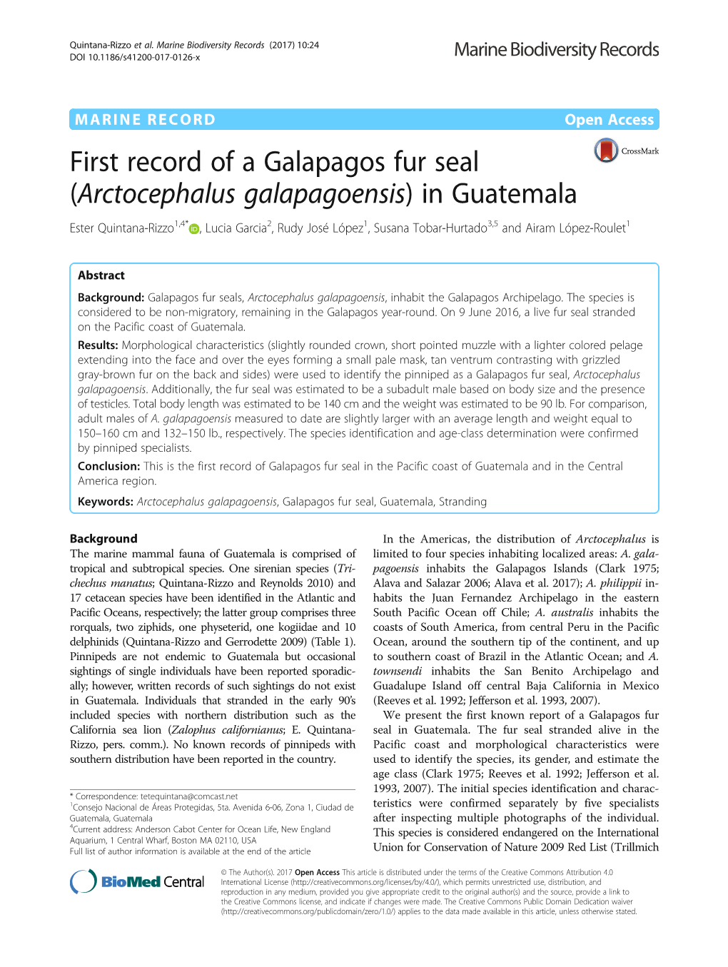 First Record of a Galapagos Fur Seal (Arctocephalus Galapagoensis) In