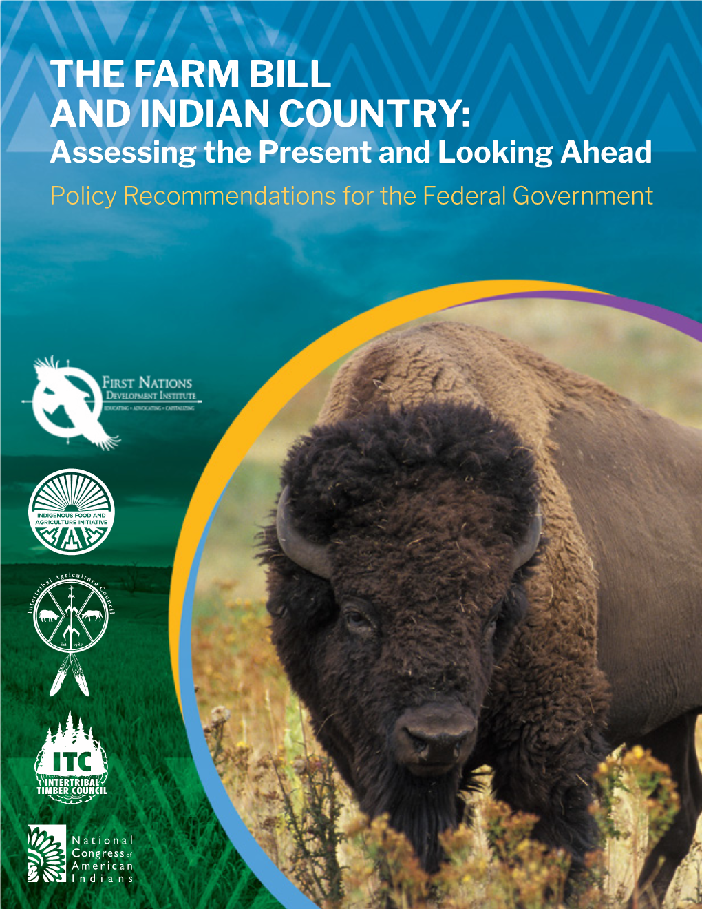 THE FARM BILL and INDIAN COUNTRY: Assessing the Present and Looking Ahead Policy Recommendations for the Federal Government