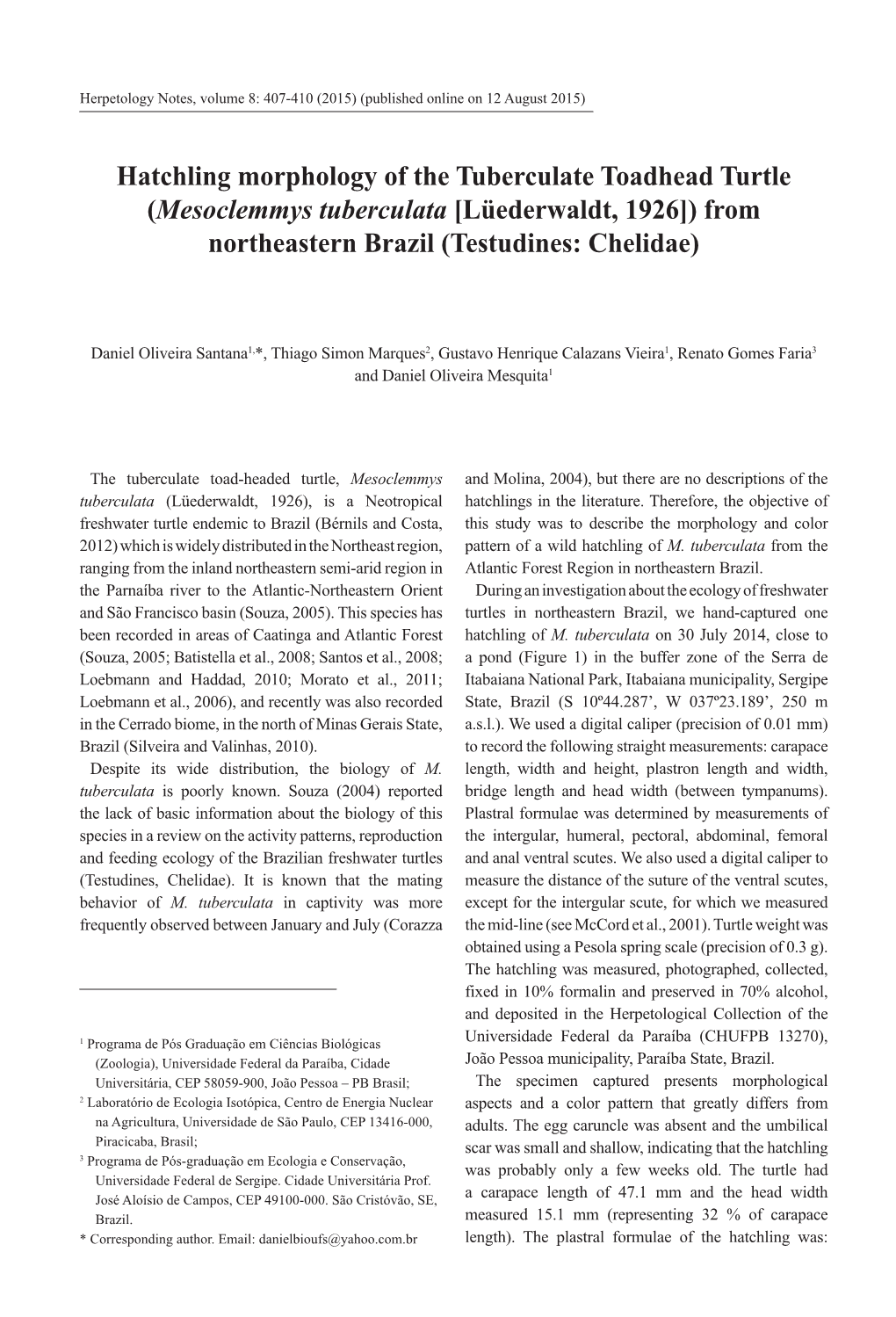 Hatchling Morphology of the Tuberculate Toadhead Turtle (Mesoclemmys Tuberculata [Lüederwaldt, 1926]) from Northeastern Brazil (Testudines: Chelidae)