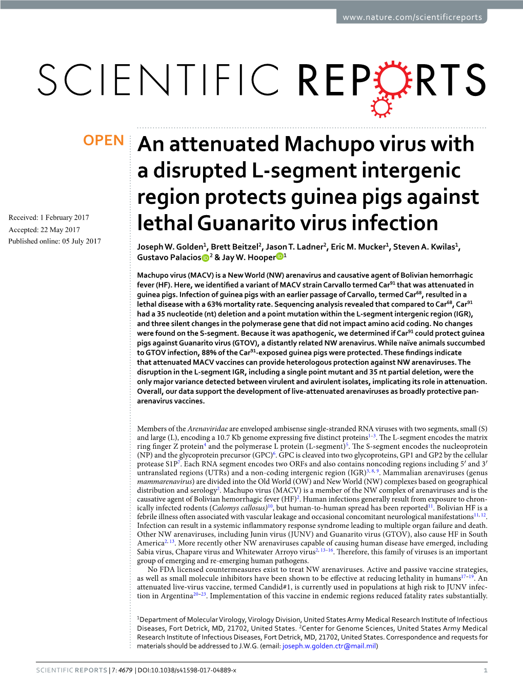 An Attenuated Machupo Virus with a Disrupted L-Segment Intergenic