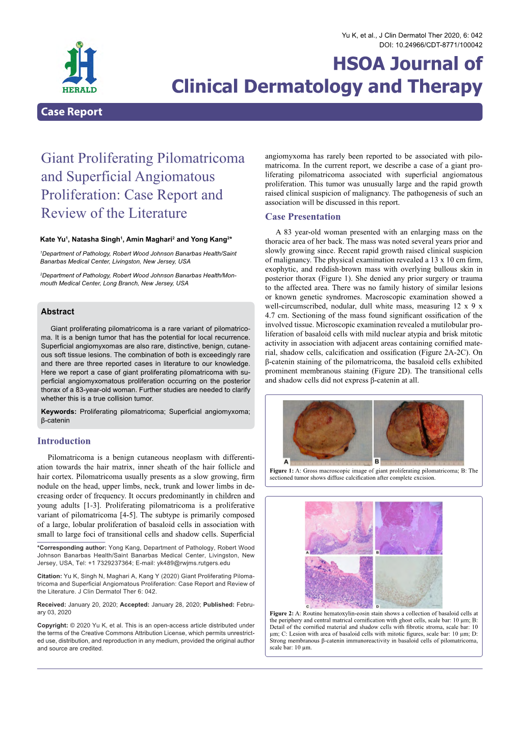 Giant Proliferating Pilomatricoma and Superficial Angiomatous Proliferation: Case Report and Review of the Literature