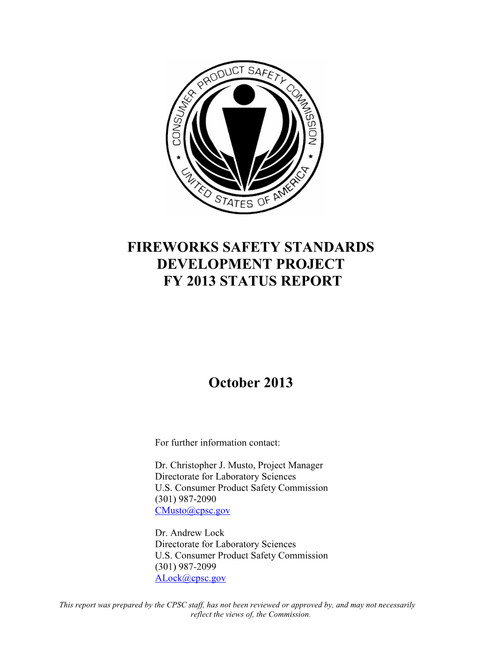 2013 Fireworks Safety Standards Development Status Report