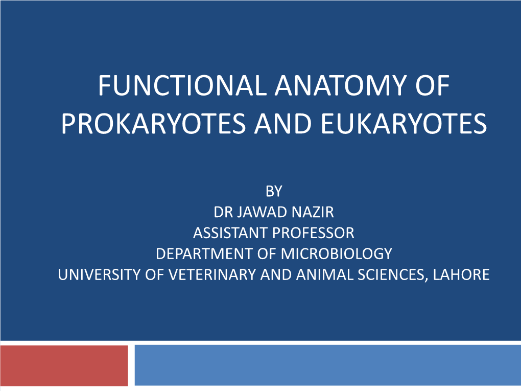 Functional Anatomy of Prokaryotes and Eukaryotes