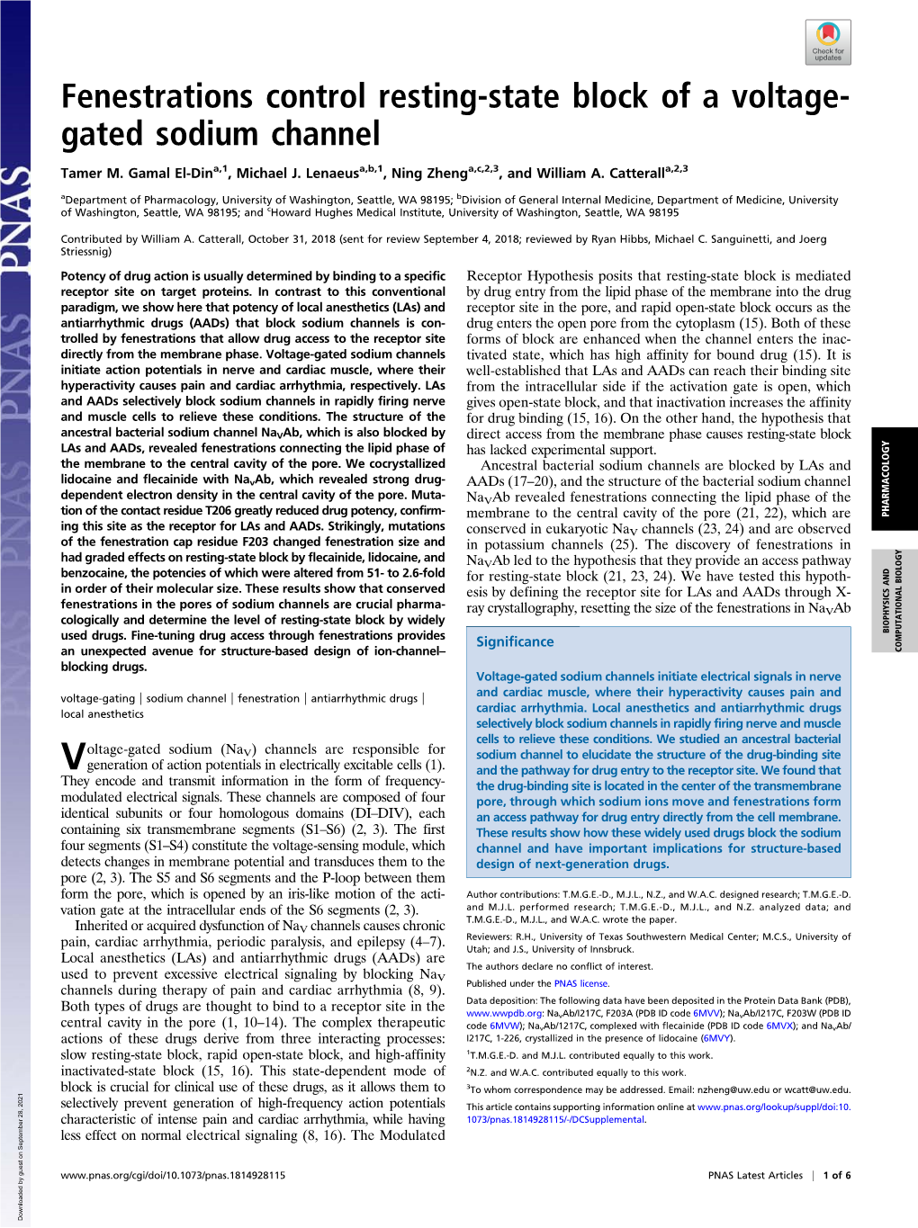 Fenestrations Control Resting-State Block of a Voltage-Gated Sodium