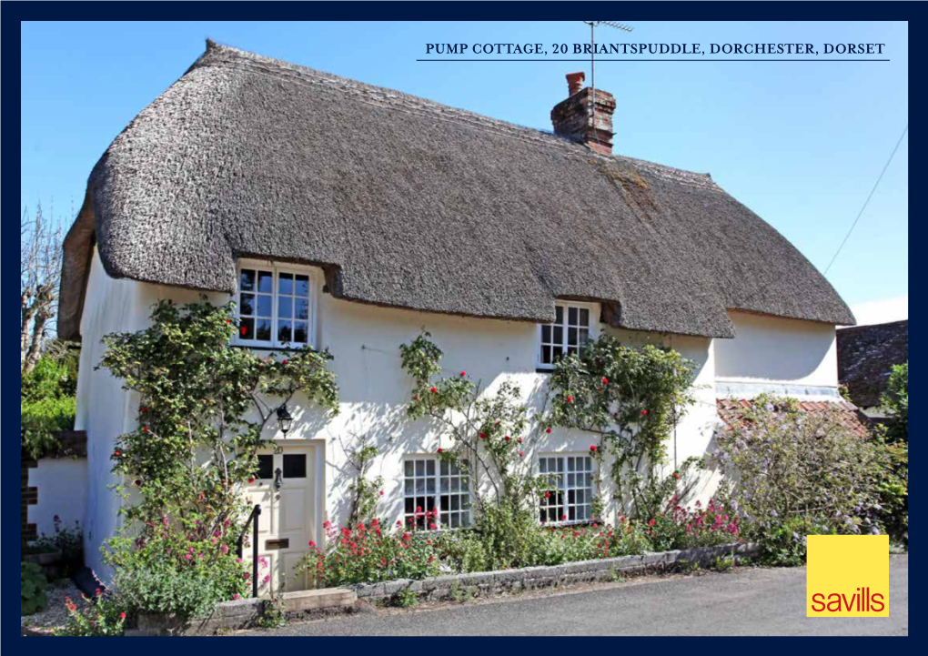 Pump Cottage, 20 Briantspuddle, Dorchester, Dorset Charming Thatched Cottage with Delightful Garden in an Idyllic Village Setting