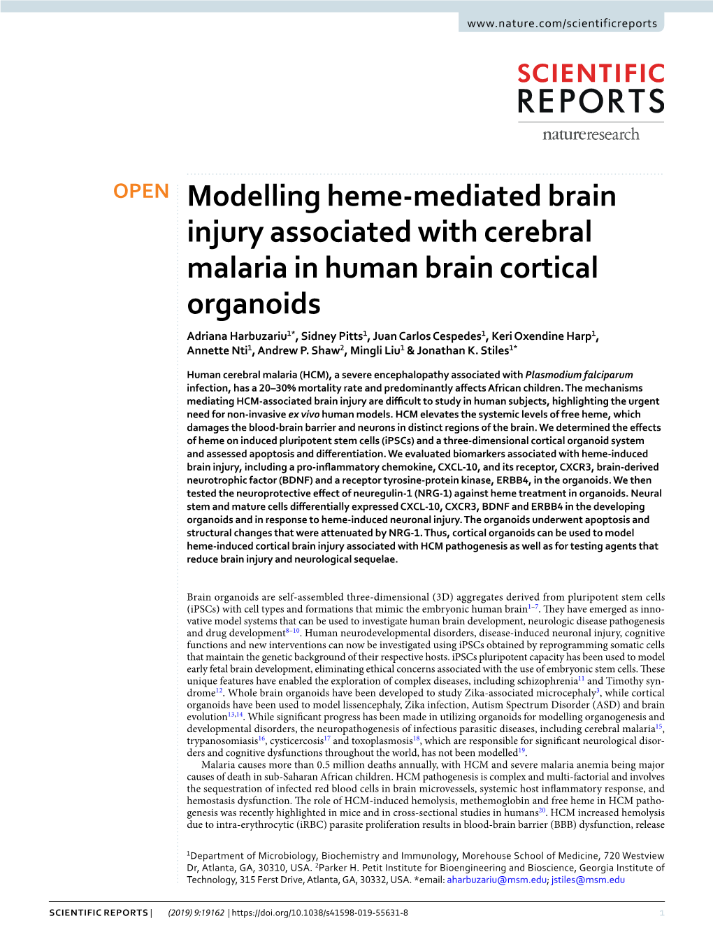 Modelling Heme-Mediated Brain Injury Associated with Cerebral Malaria In