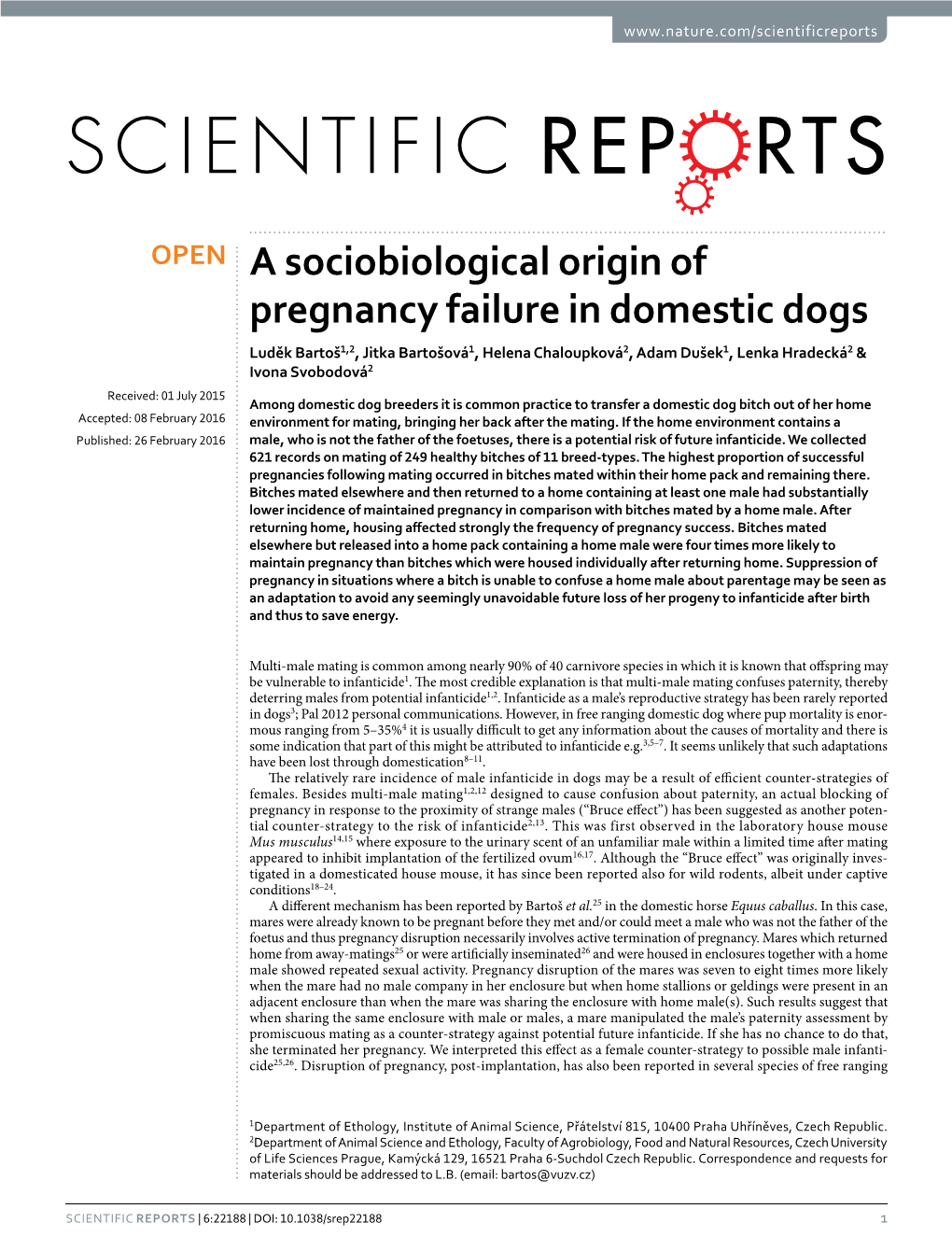 A Sociobiological Origin of Pregnancy Failure in Domestic Dogs