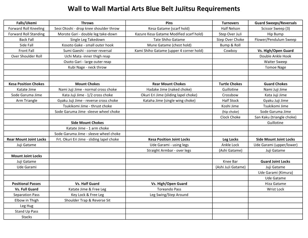 Wall to Wall Martial Arts Blue Belt Jujitsu Requirements