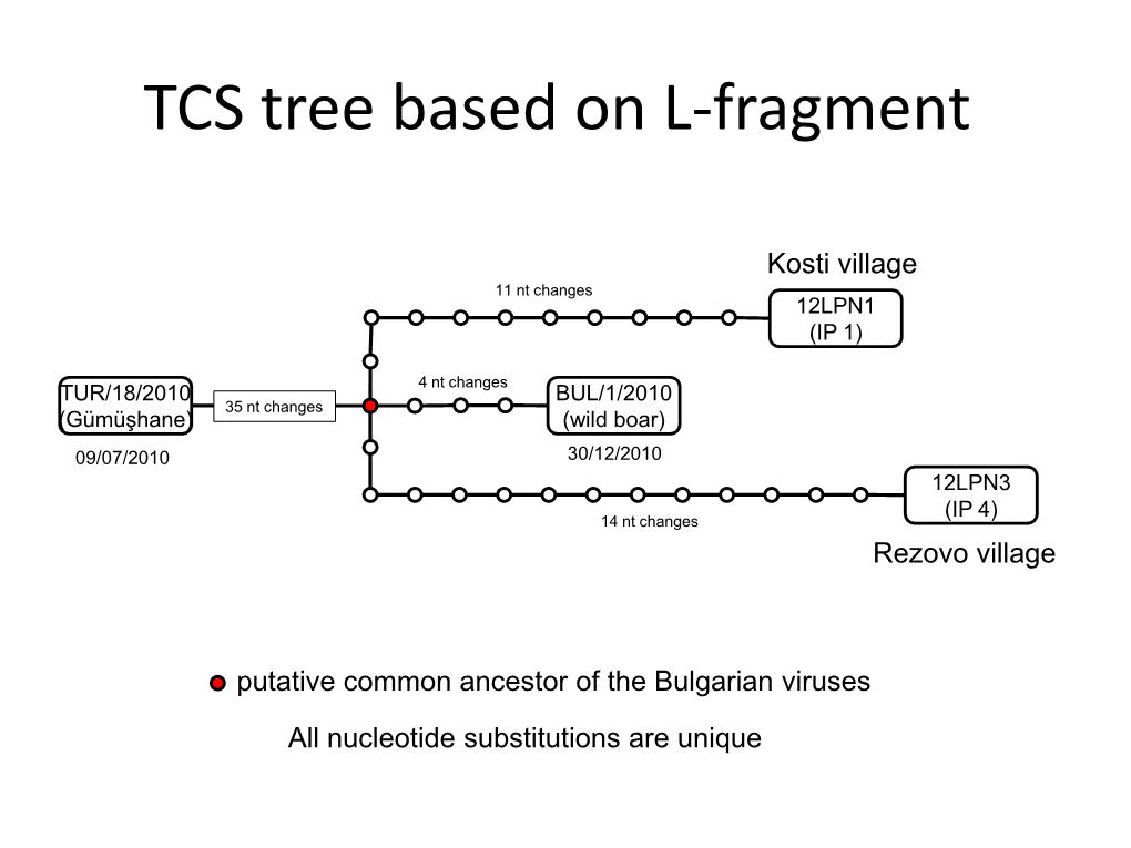 TCS Tree Based on L-Fragment