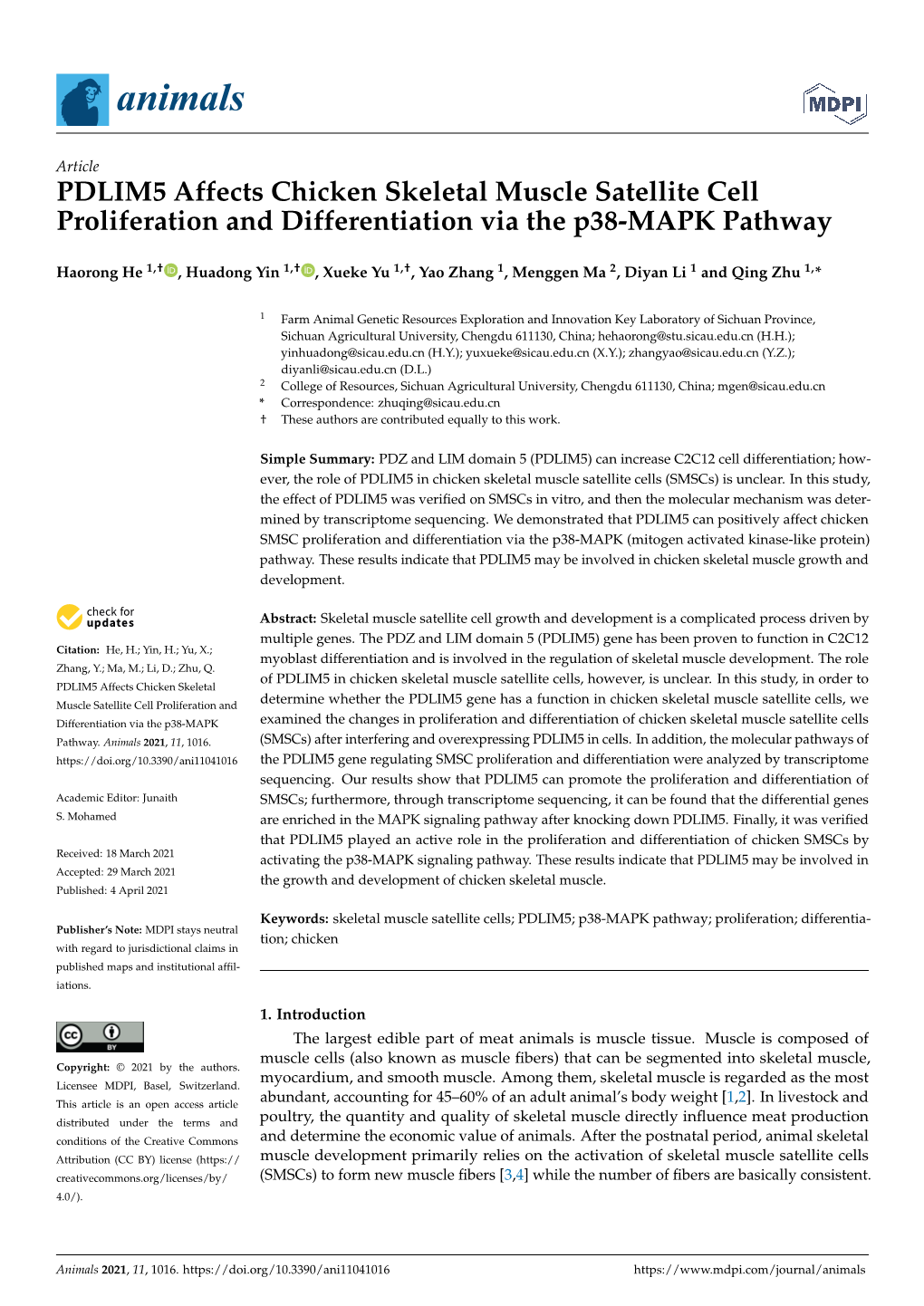 PDLIM5 Affects Chicken Skeletal Muscle Satellite Cell Proliferation and Differentiation Via the P38-MAPK Pathway