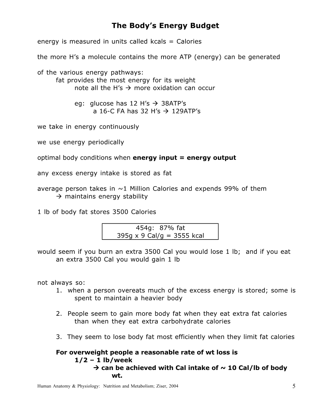 The Body's Energy Budget