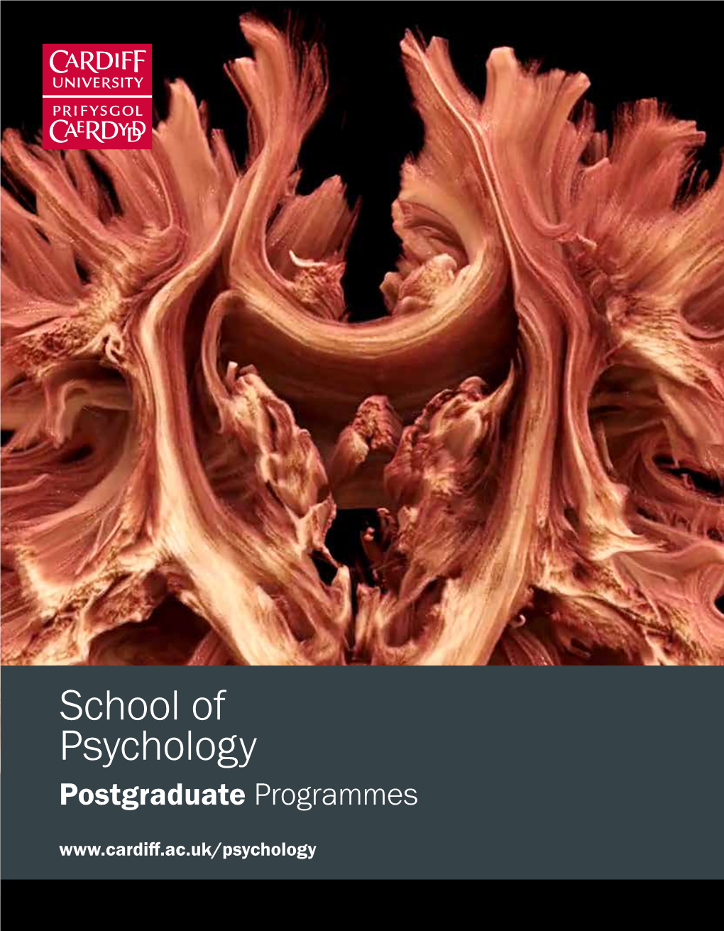 School of Psychology Postgraduate Programmes