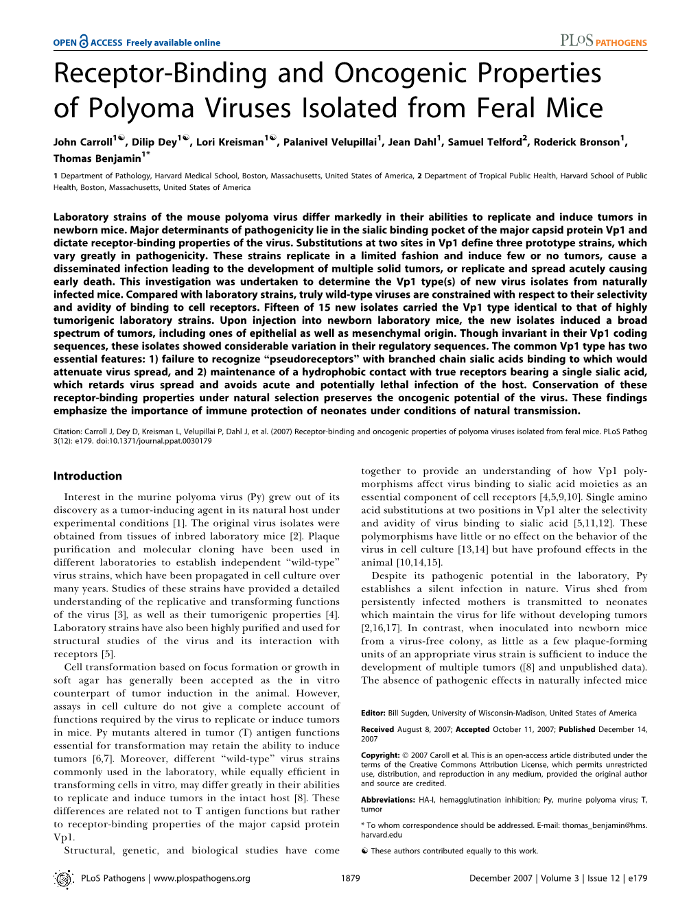 Receptor-Binding and Oncogenic Properties of Polyoma Viruses Isolated from Feral Mice