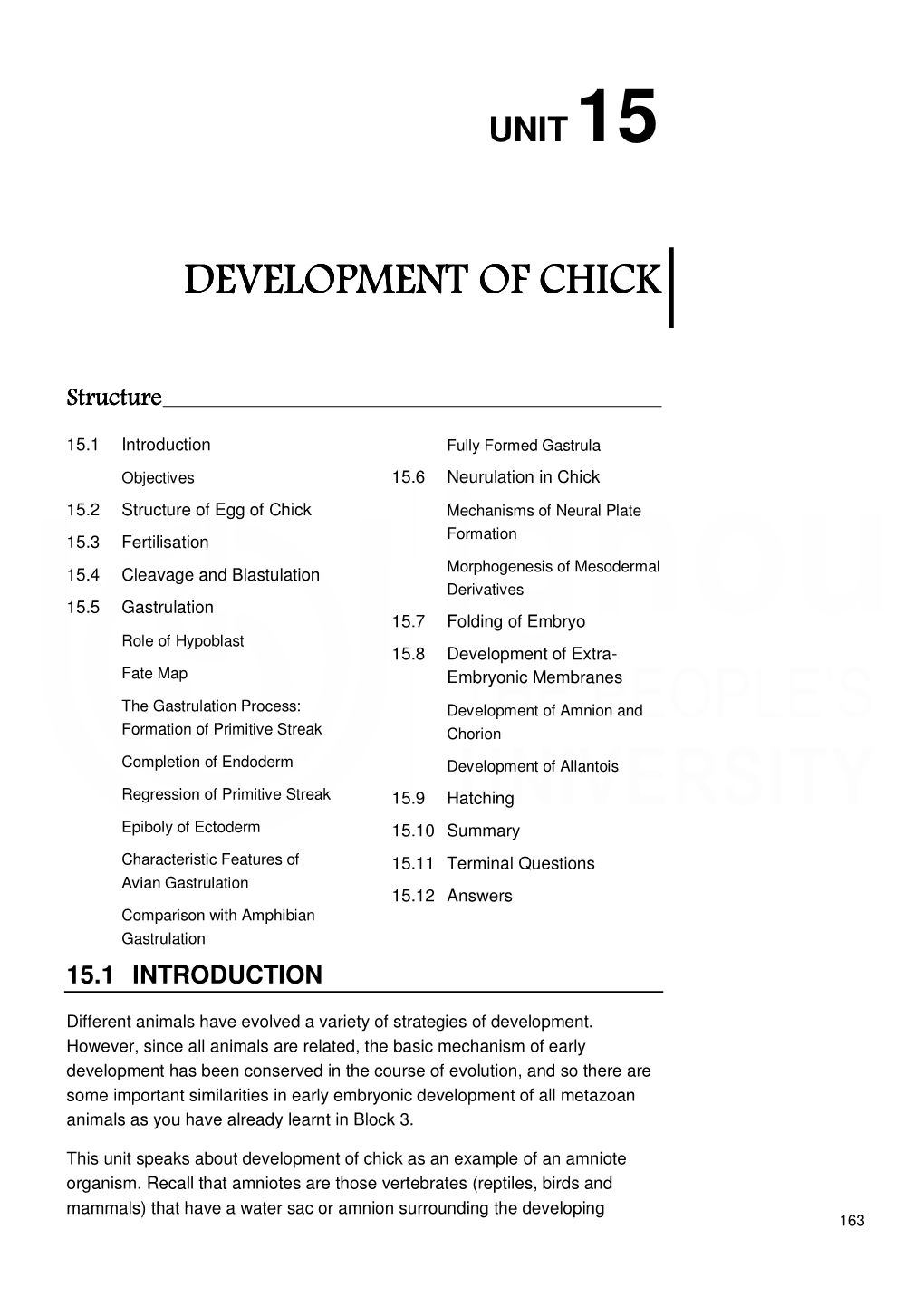 Development of Chick Development of Chick