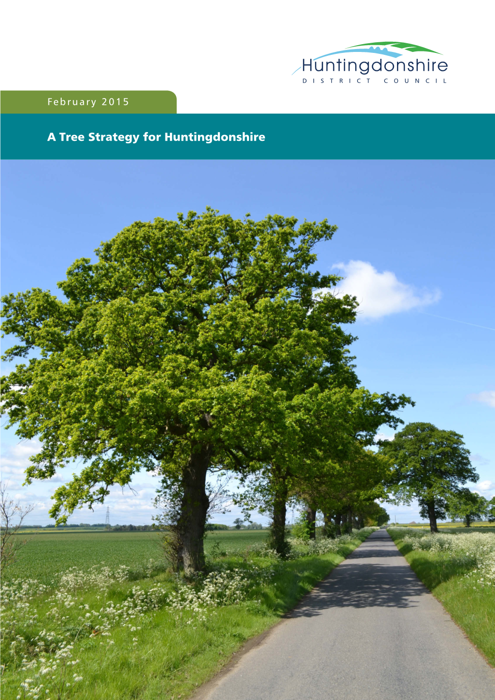 Tree-Strategy-Introduction.Pdf