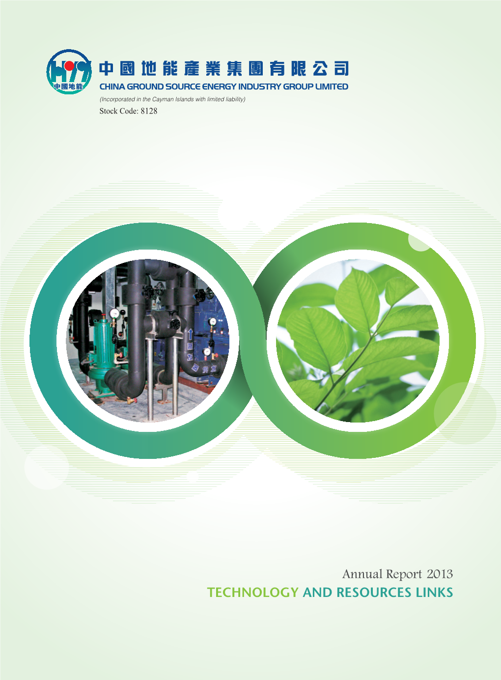 Annual Report 2013