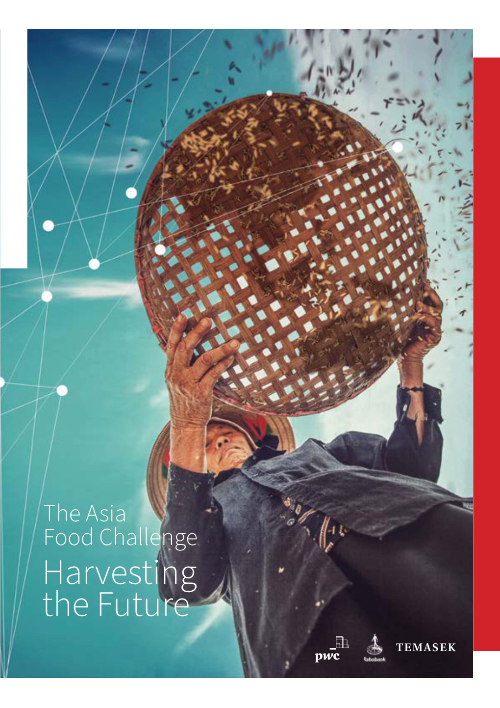 The Asia Food Challenge Report