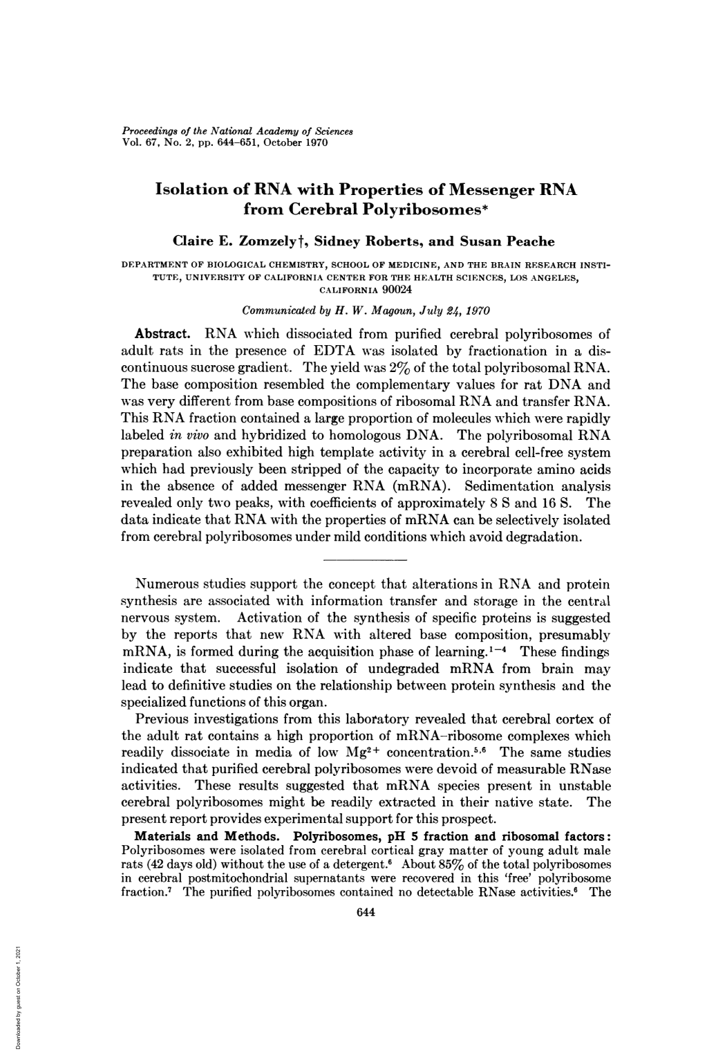 Isolation of RNA with Properties of Messenger RNA from Cerebral Polyribosomes* Claire E