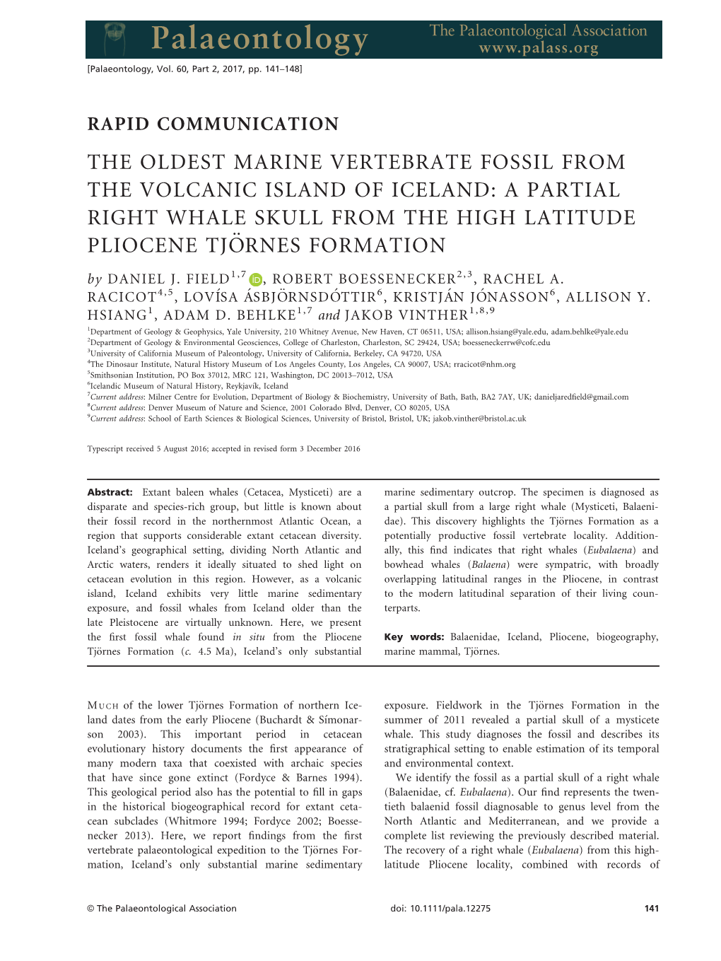 A PARTIAL RIGHT WHALE SKULL from the HIGH LATITUDE PLIOCENE TJORNES€ FORMATION by DANIEL J