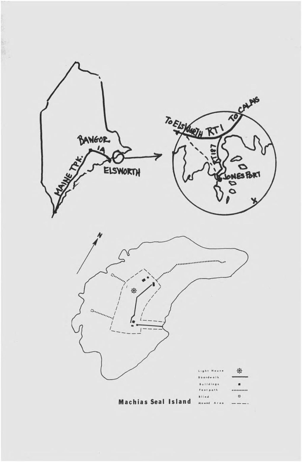 Machias Seal Island Mowad a R I MACHIAS SEAL ISLABD