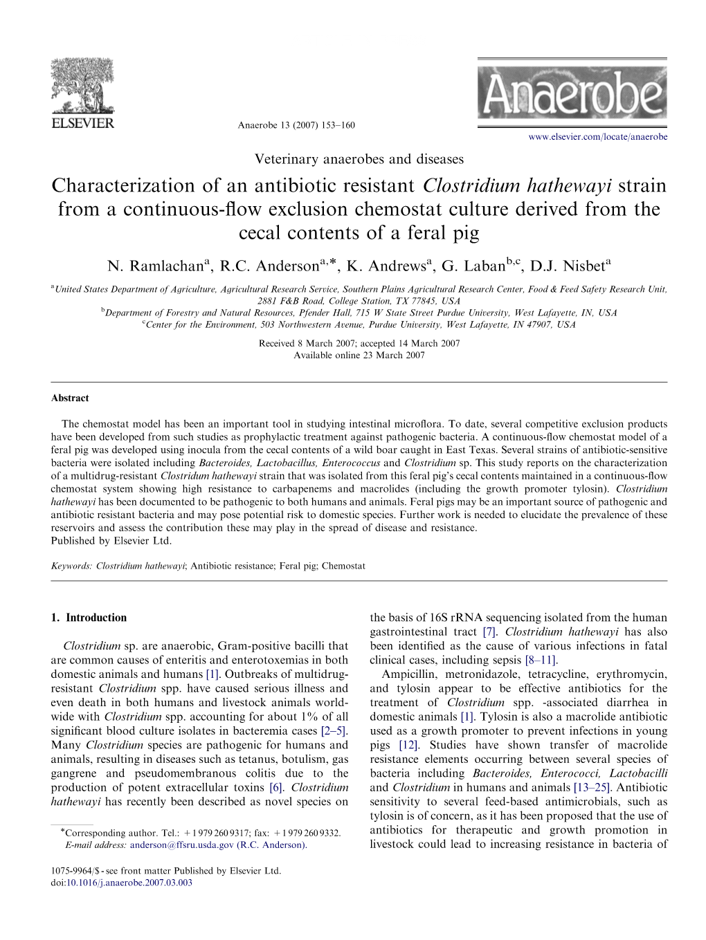 Clostridium Hathewayi Strain from a Continuous-ﬂow Exclusion Chemostat Culture Derived from the Cecal Contents of a Feral Pig