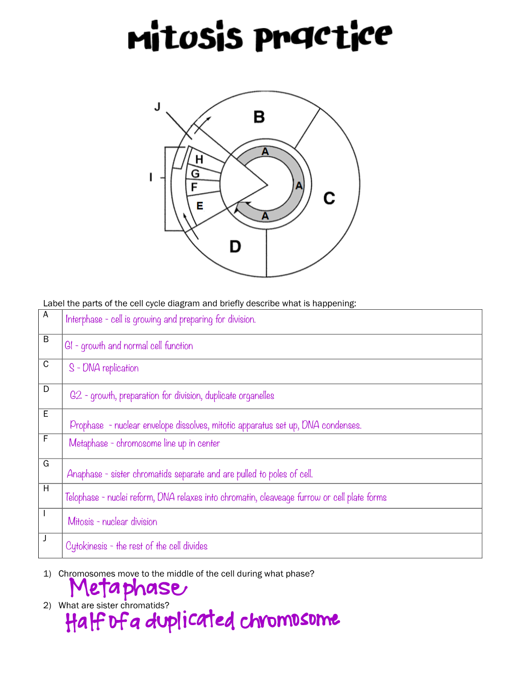 Label the Parts of the Cell Cycle Diagram and Briefly Describe What Is Happening: a B C D E F G H I J 1) Chromosomes Move To