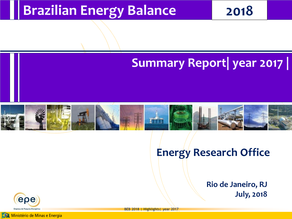 Summary Report 2018