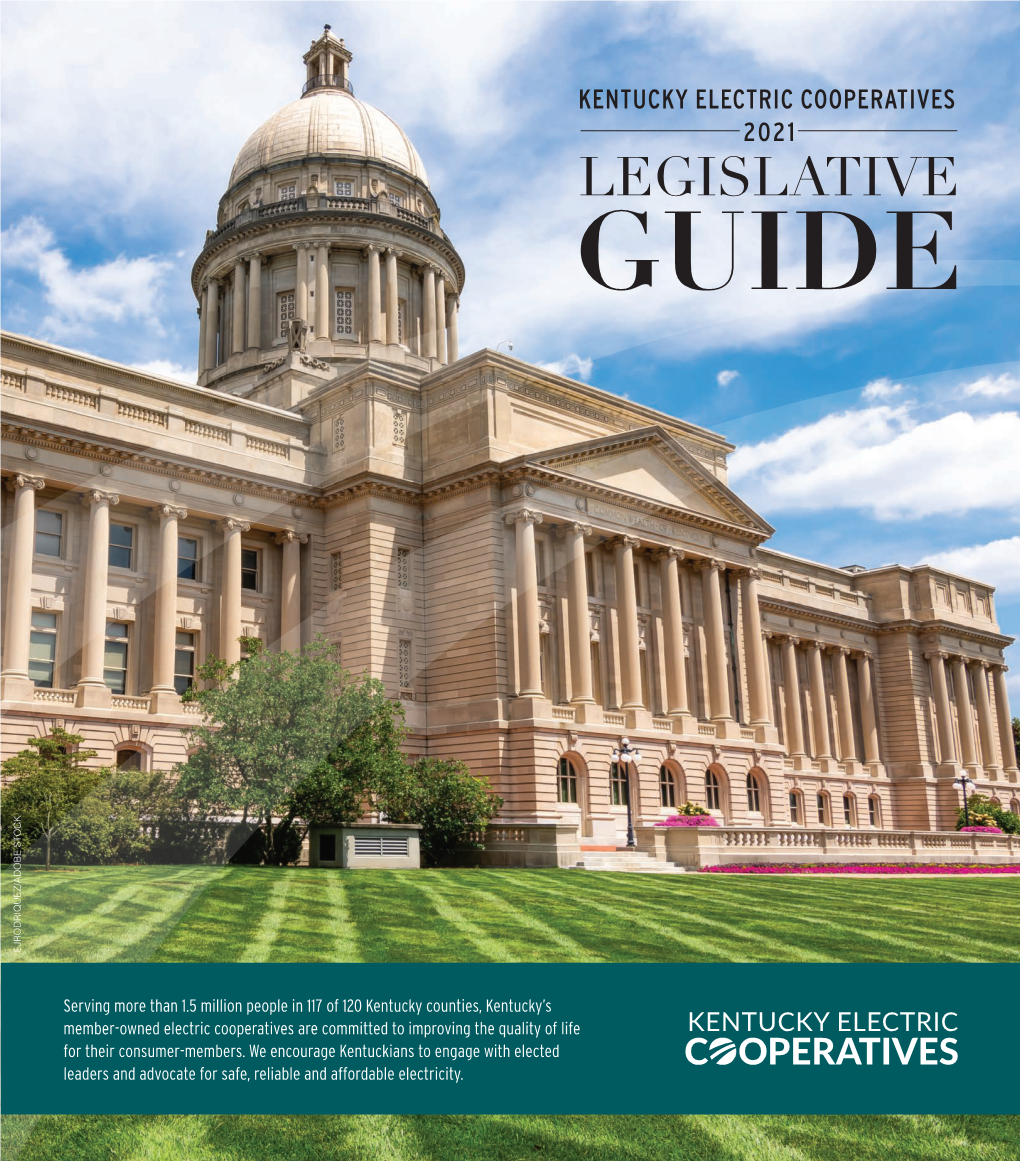 Legislative Guide Ejrodriquez/Adobe Stock