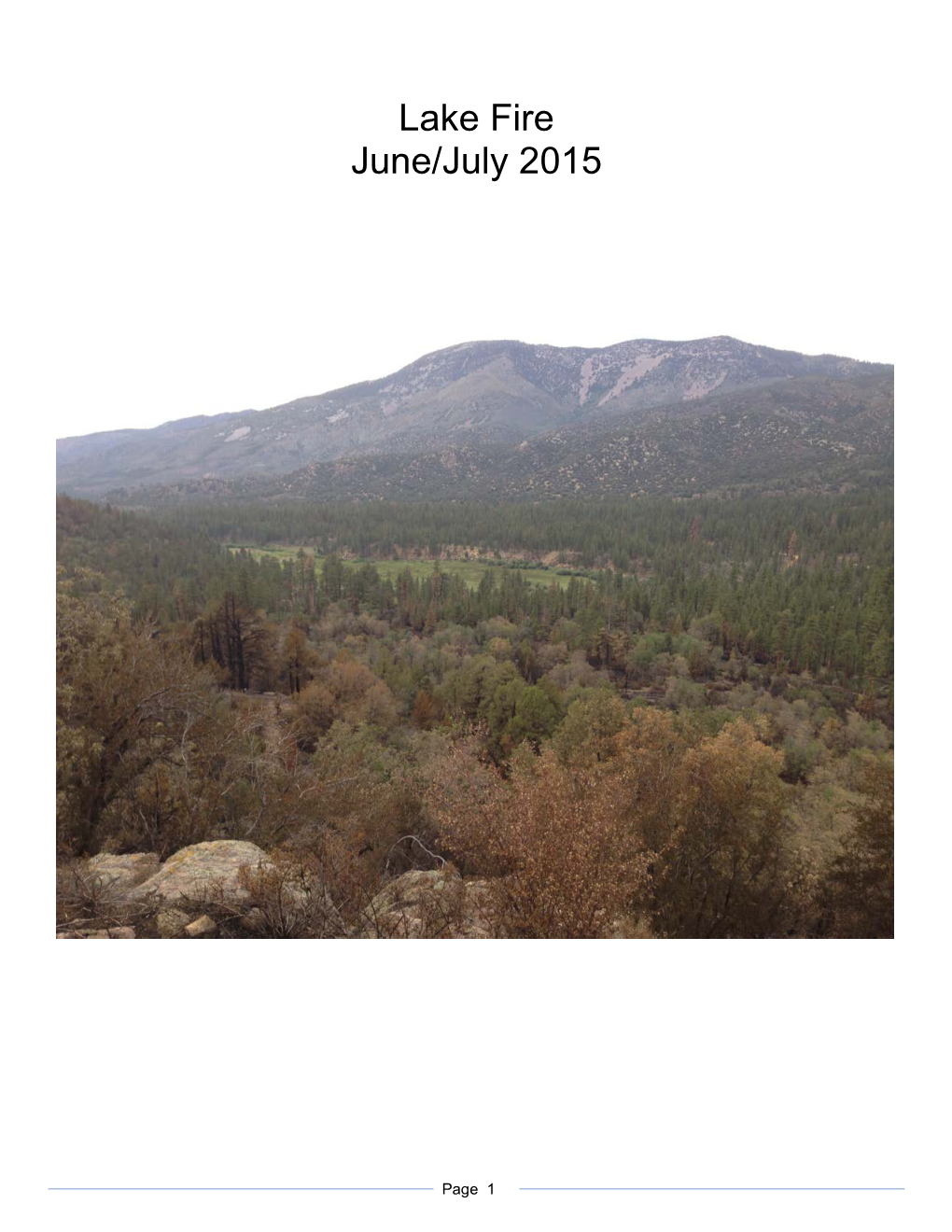 Lake Fire June/July 2015