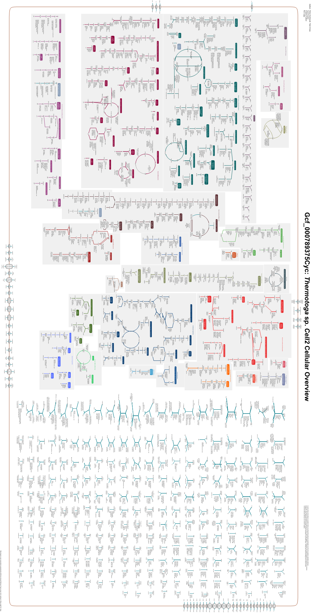 Generated by SRI International Pathway Tools Version 25.0, Authors S