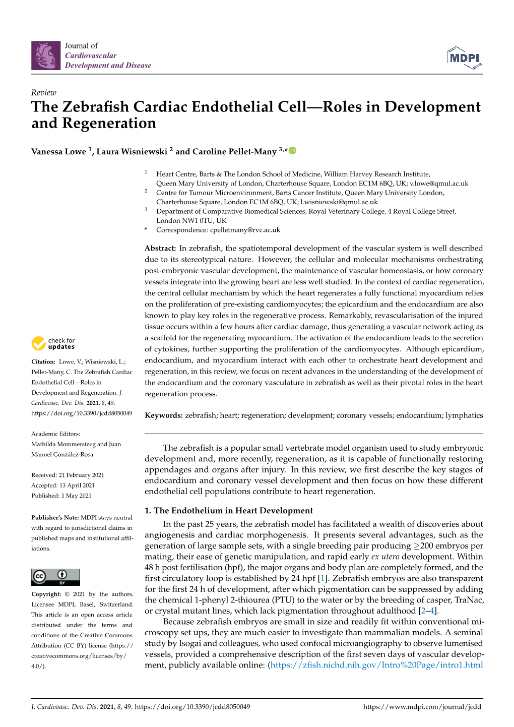 The Zebrafish Cardiac Endothelial Cell—Roles in Development And