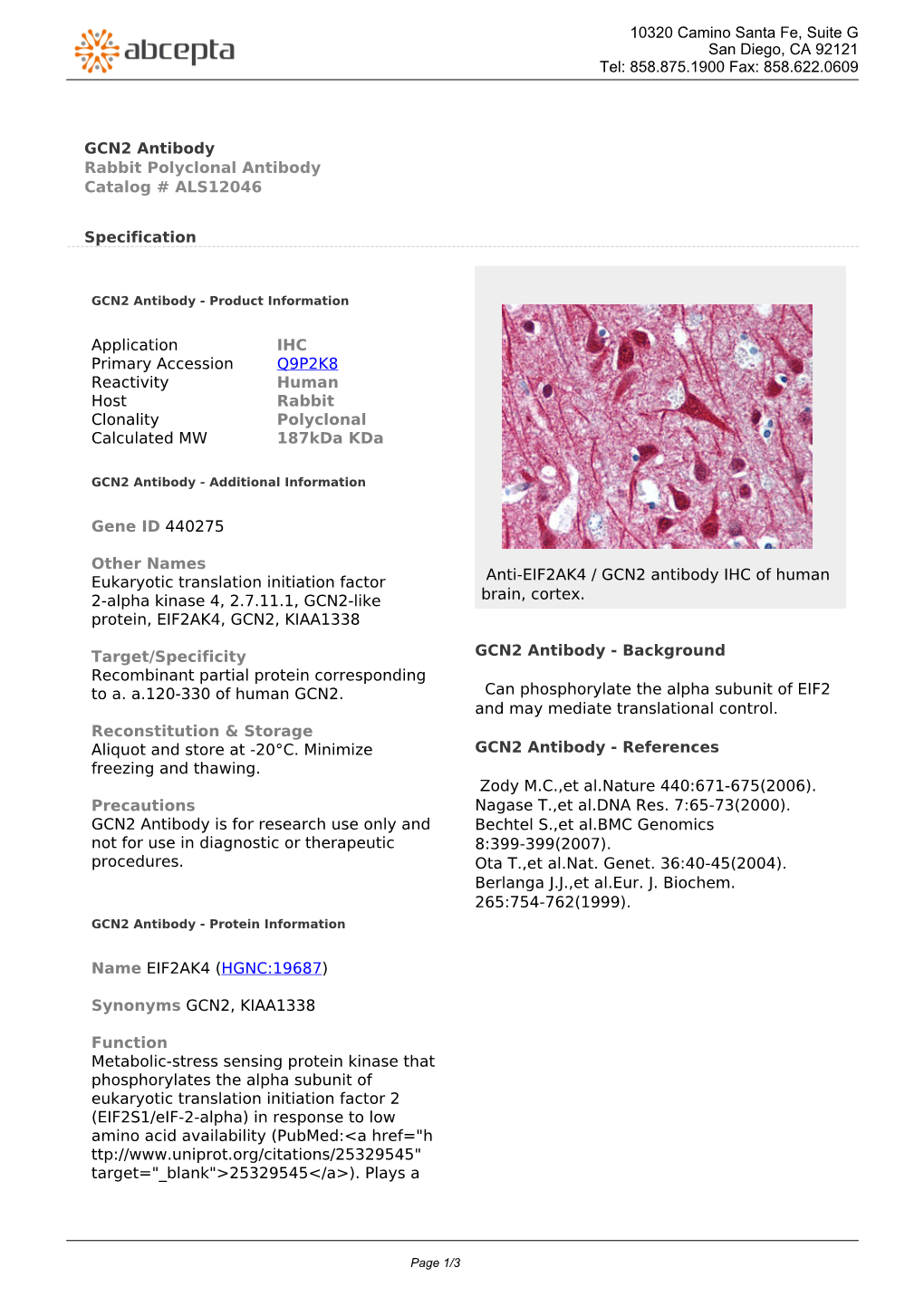 GCN2 Antibody Rabbit Polyclonal Antibody Catalog # ALS12046