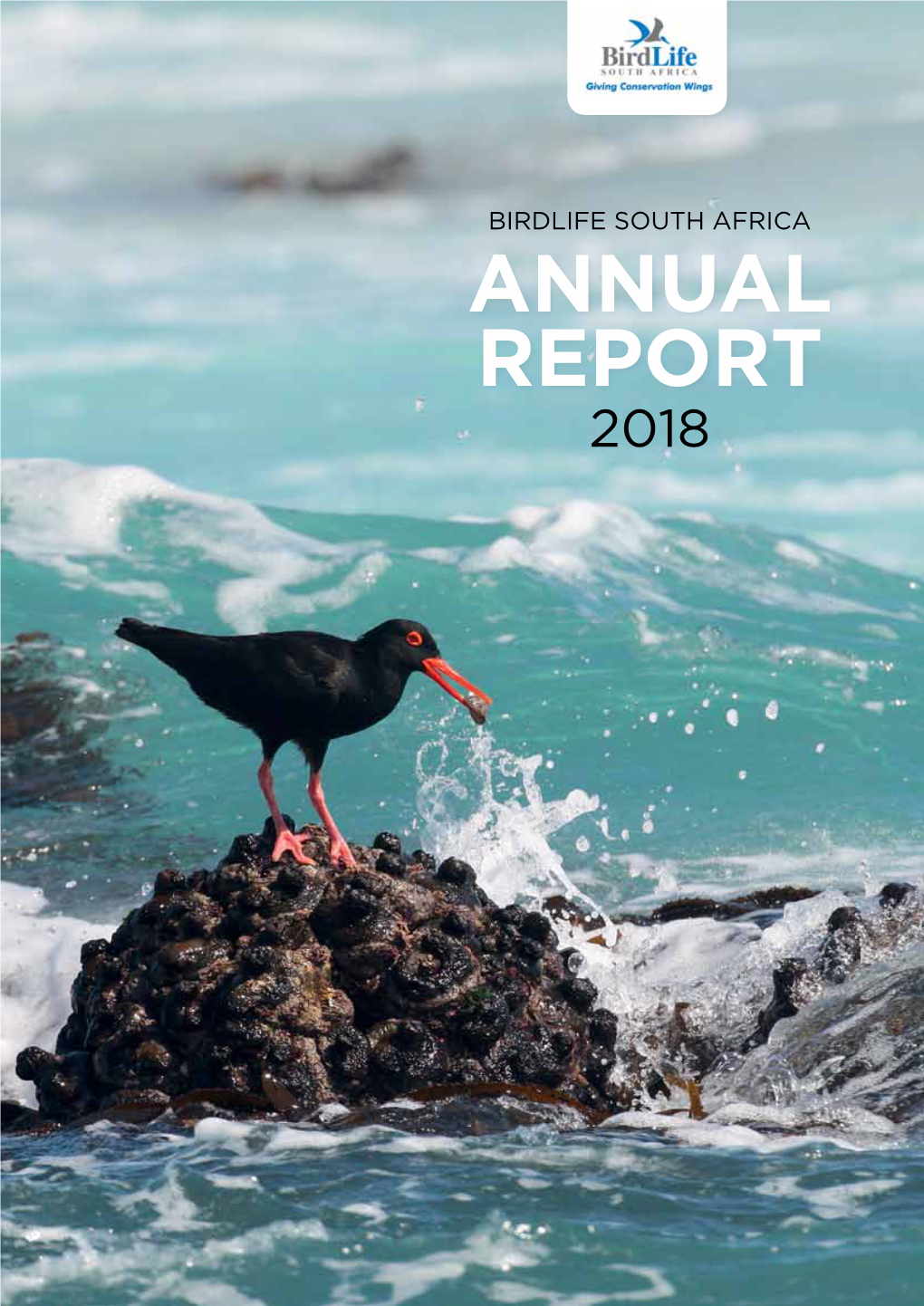 ANNUAL REPORT 2018 1 Chairman’S Statement It Is Wonderful to Be Able to Report, Yet Again, on a Successful Year for Birdlife South Africa