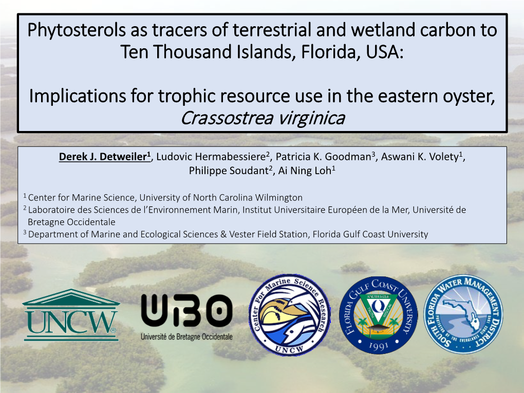 Phytosterols As Tracers of Terrestrial and Wetland Carbon to Ten Thousand Islands, Florida, USA